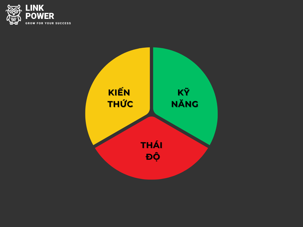 cac-thanh-phan-chinh-khung-nang-luc