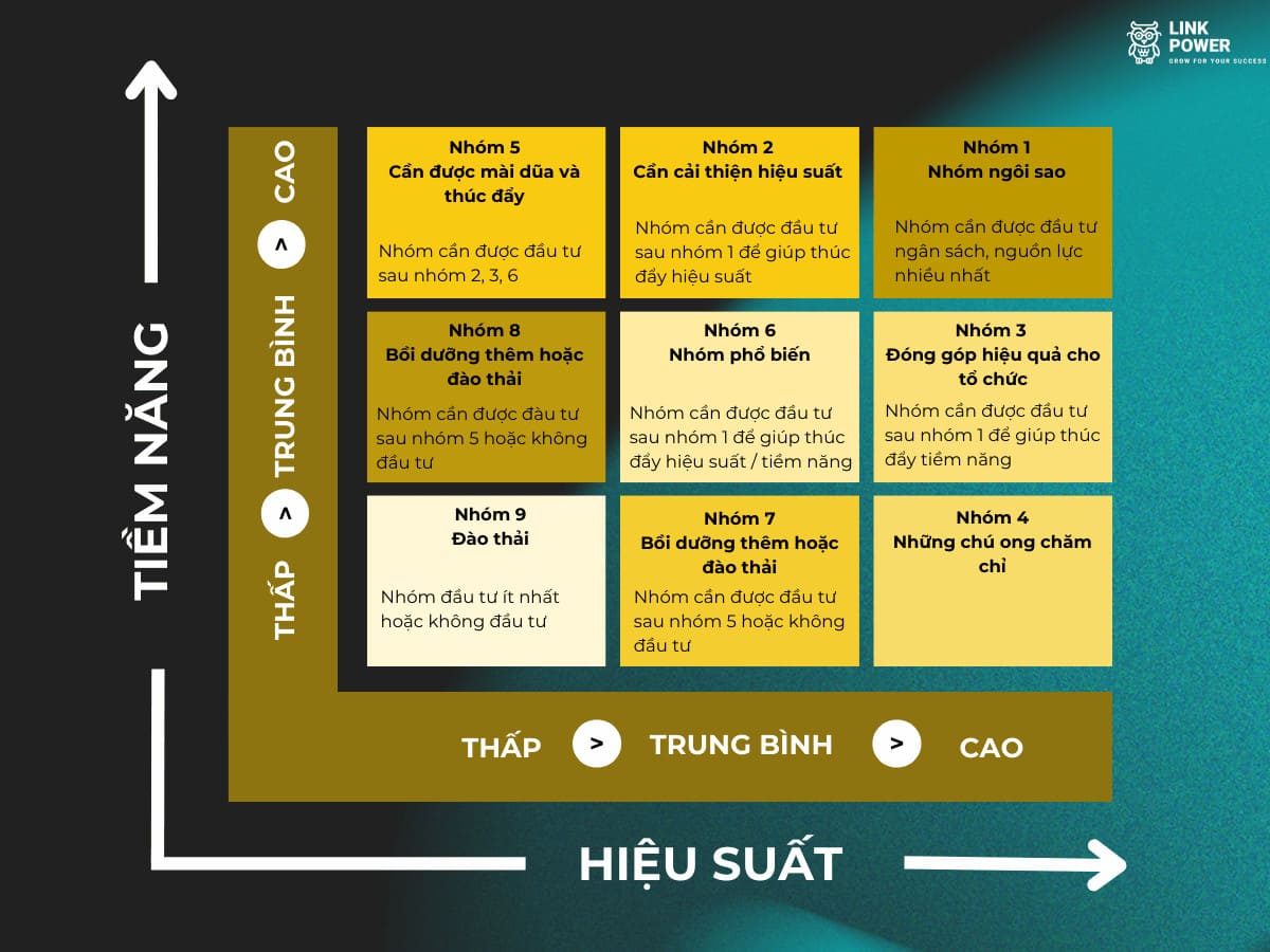 cau-truc-tieu-chi-xay-dung-cua-9-Box-Grid