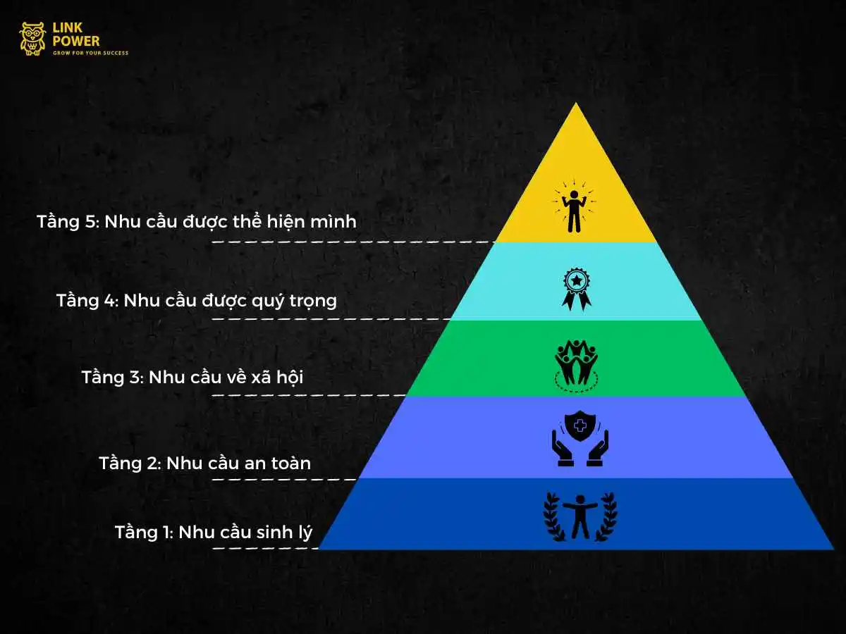 5 mô hình ra quyết định quản trị 
