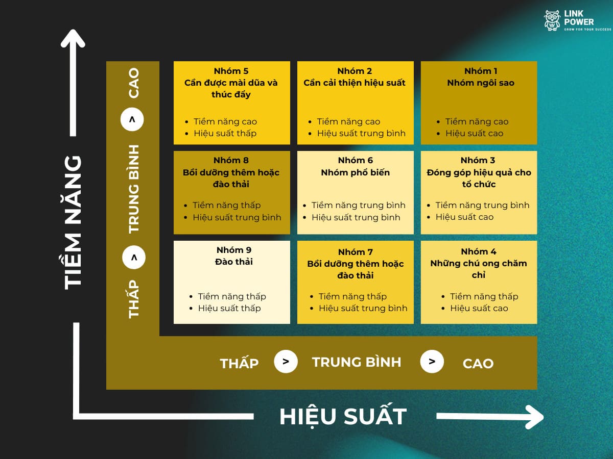 cach-thuc-phoi-hop-do-luong-hieu-suat-va-tiem-nang-cua-9-box-grid