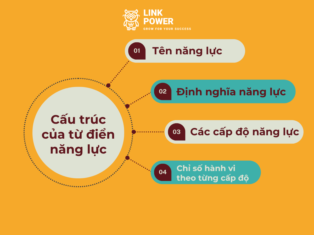 Cấu tạo của từ điển năng lực